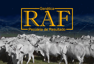 LEILÃO GENÉTICA RAF - PECUÁRIA DE RESULTADO